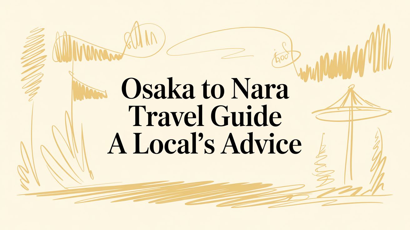 Osaka to Nara: A Local's Guide to an Immersive Day Trip