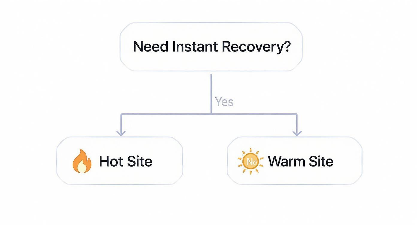 Infographic decision tree asking 'Need Instant Recovery?' leading to a Hot Site for 'Yes' and a Warm Site for 'No'.