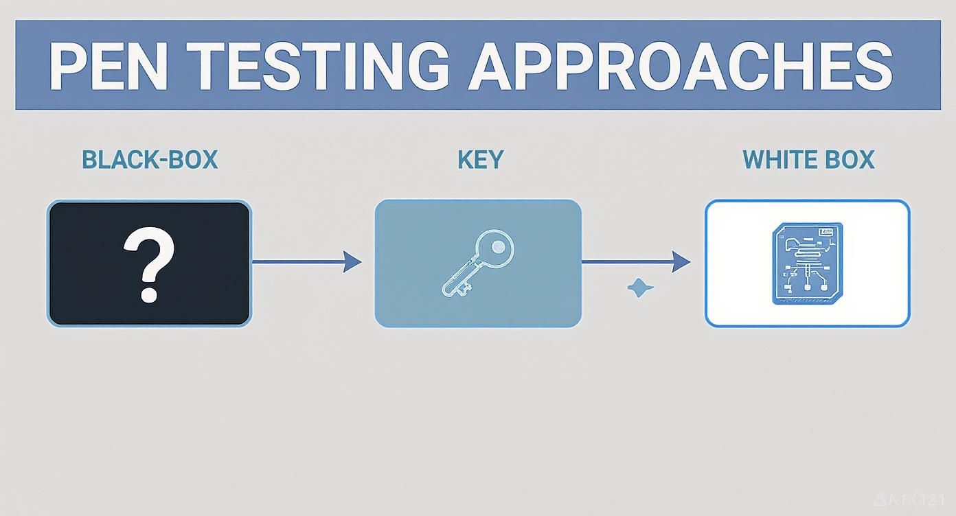 Infographic showing the progression from Black Box, to Grey Box, to White Box penetration testing approaches