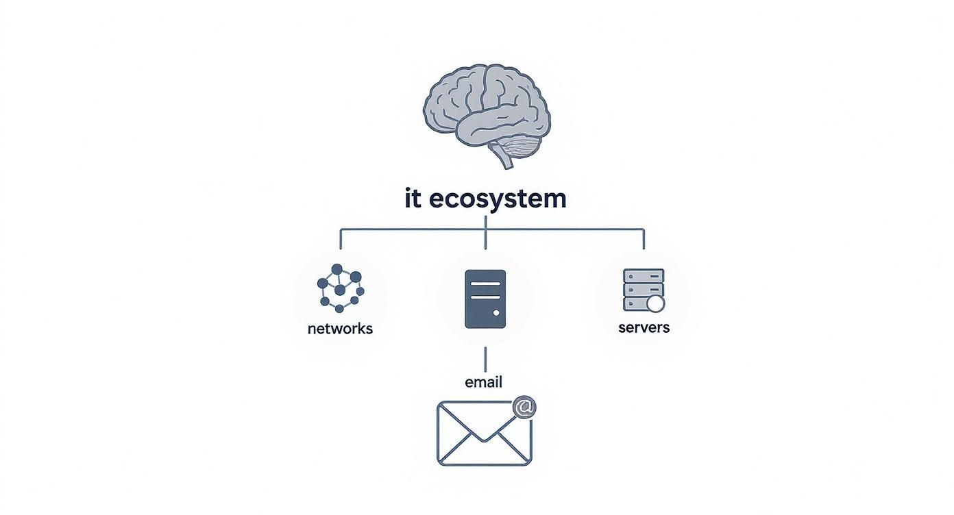 IT ecosystem diagram showing networks, servers, and email components with brain icon representing infrastructure management