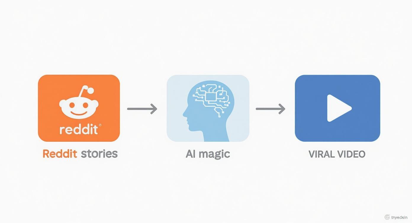 Infographic about reddit ai video