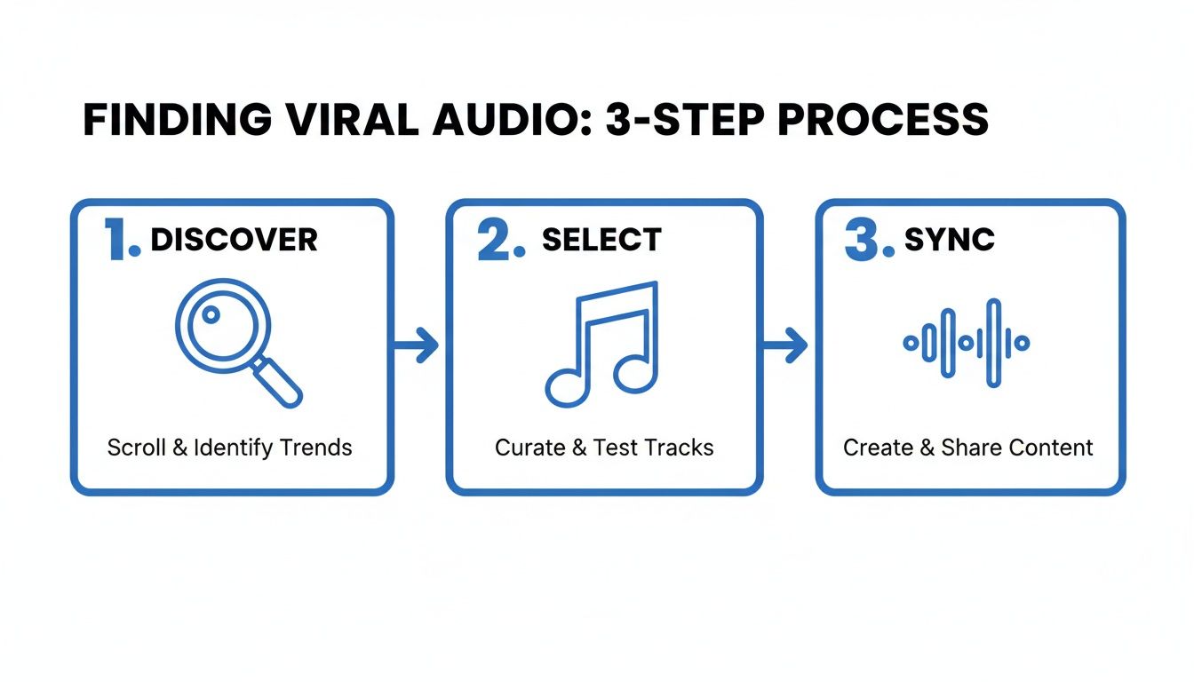Infographic outlining a 3-step process for finding and using viral audio effectively.