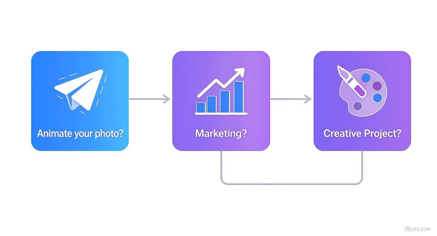 Flowchart outlining options for animating photos, marketing, or creative projects.