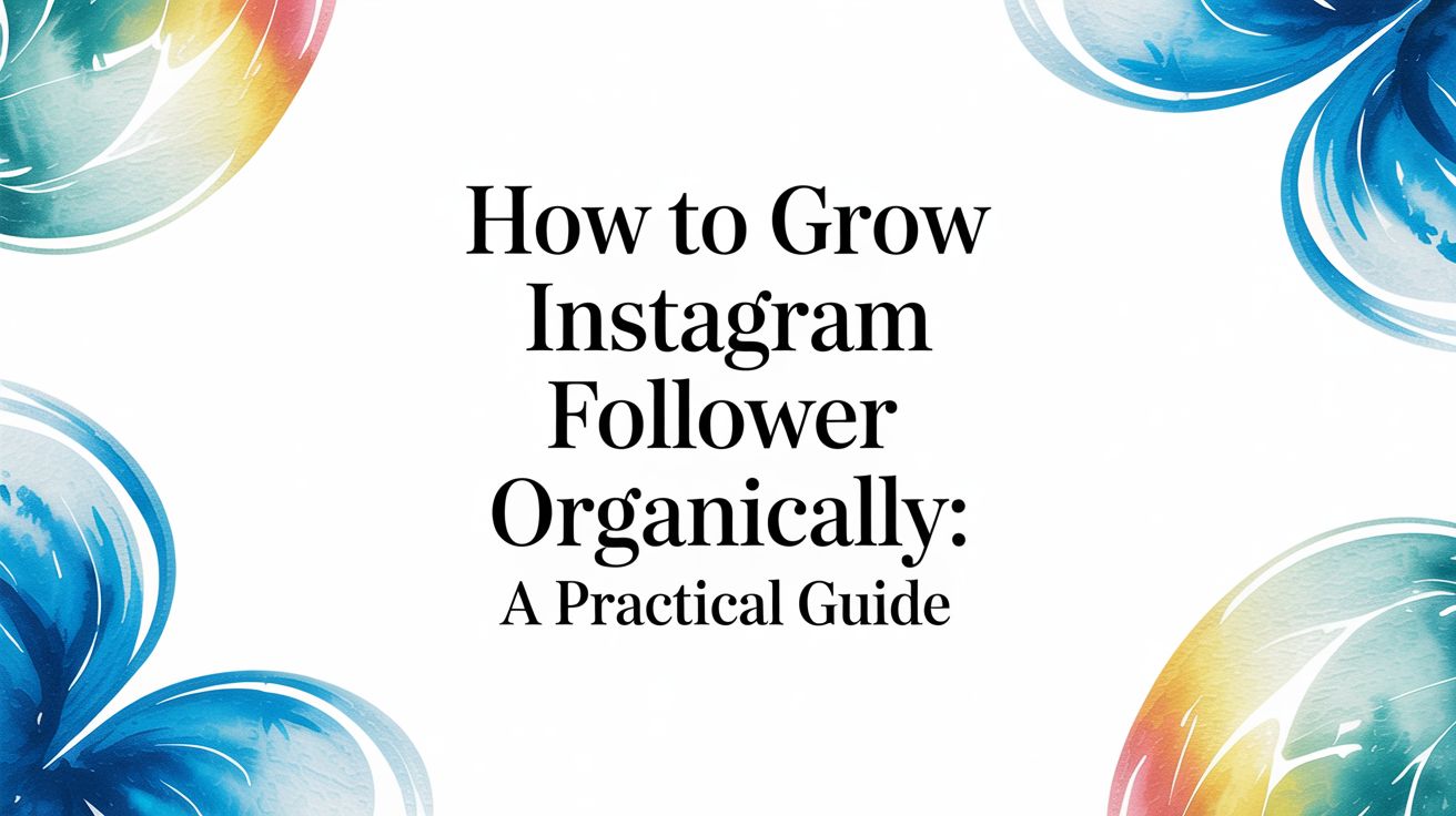How to Grow Instagram Followers Organically: A Practical Guide