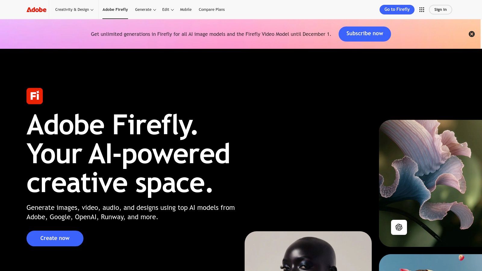 Adobe — Firefly (and Creative Cloud AI)