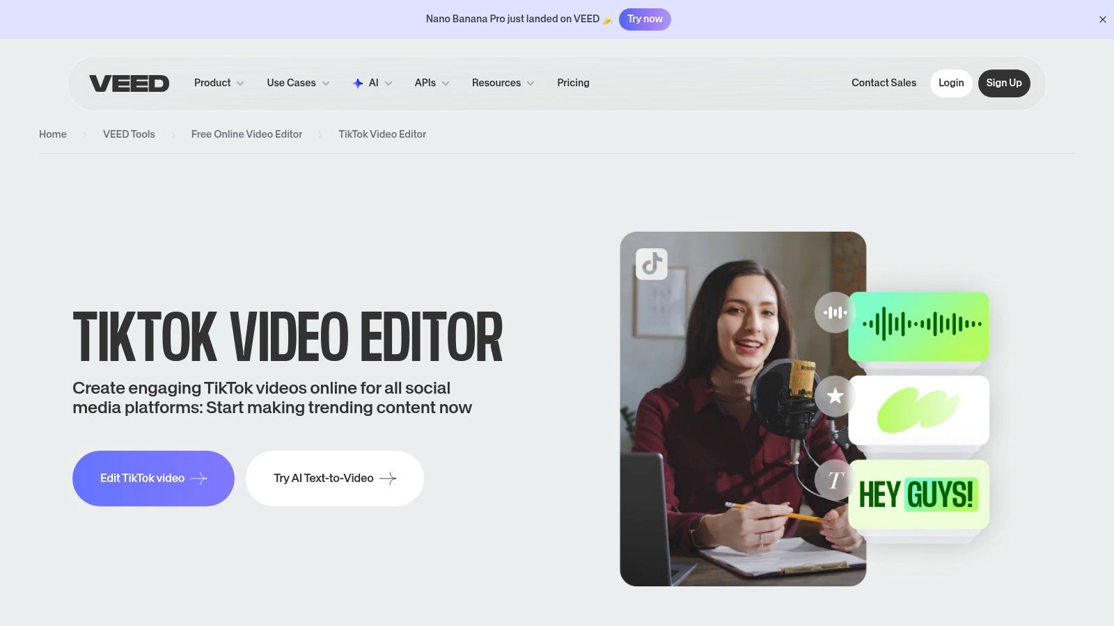 VEED's TikTok editor with AI subtitle features