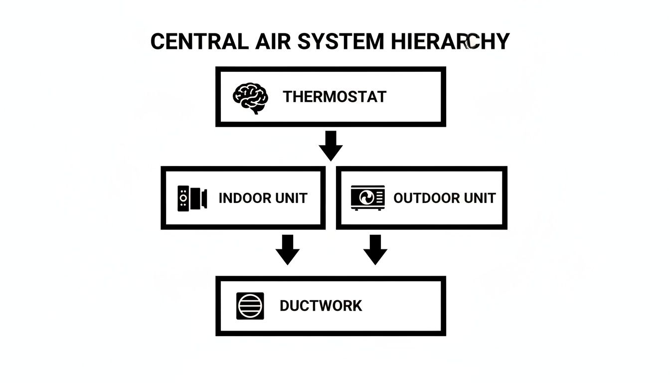 central air and heat system hierarchy Your Complete Guide to Central Air and Heat in West Michigan A central air and heat system is your all-in-one solution for managing your home's climate from a single control point. It uses a network of ducts to move conditioned air around, giving you consistent temperature control for both heating and cooling in every room. A hierarchy diagram illustrating the components of a central air system: thermostat, indoor unit, outdoor unit, and ductwork.