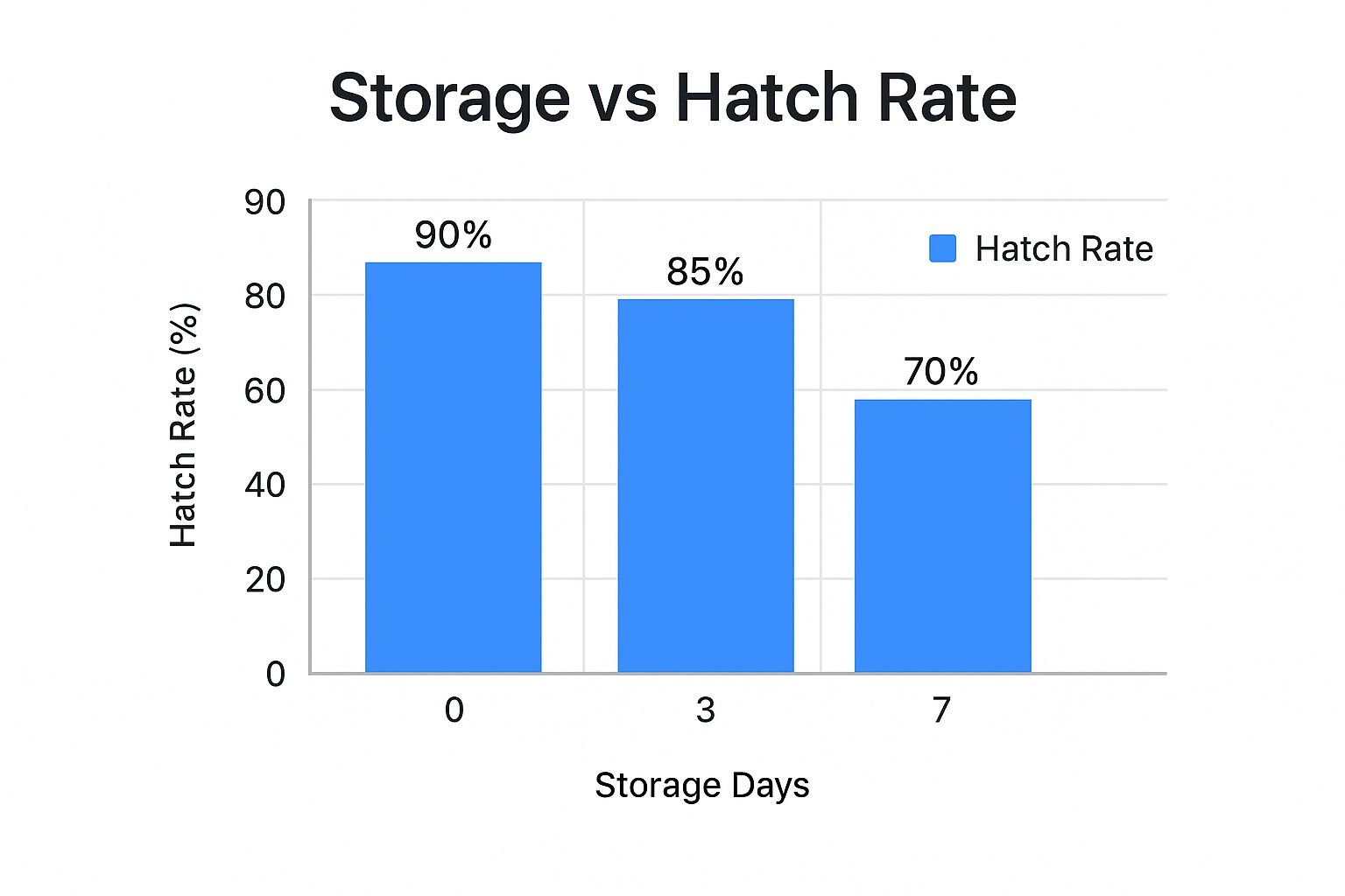 Infographic about how to incubate chicken eggs at home