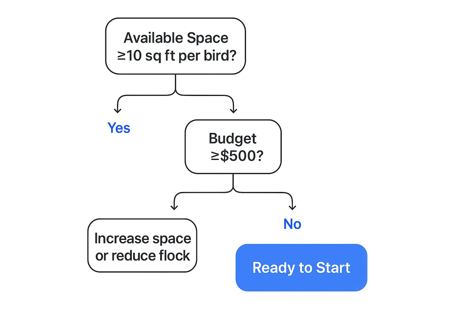 Infographic decision tree for beginner poultry farming readiness, showing questions about space and budget.