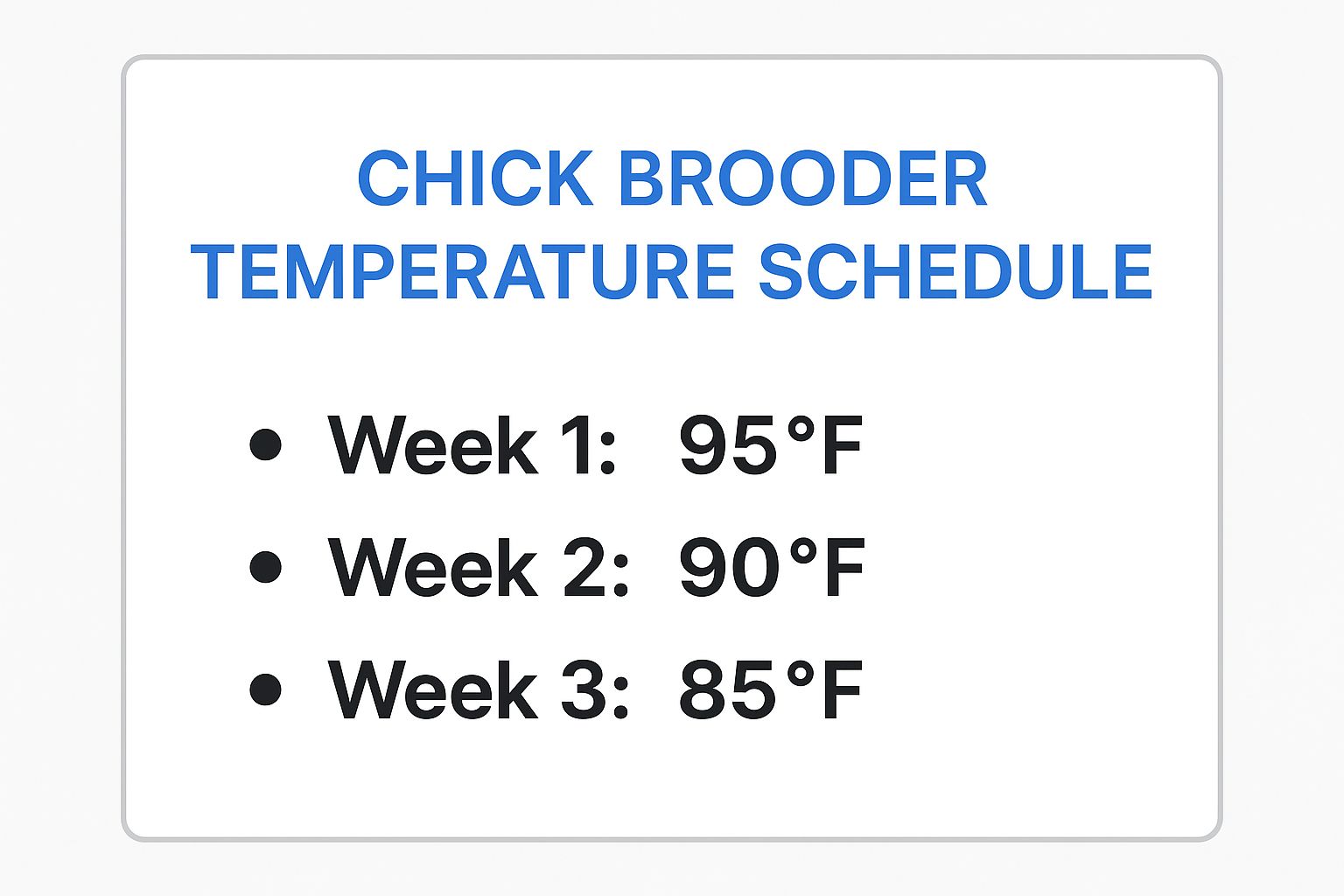 Infographic showing the chick brooder temperature schedule: Week 1 at 95°F, Week 2 at 90°F, and Week 3 at 85°F.