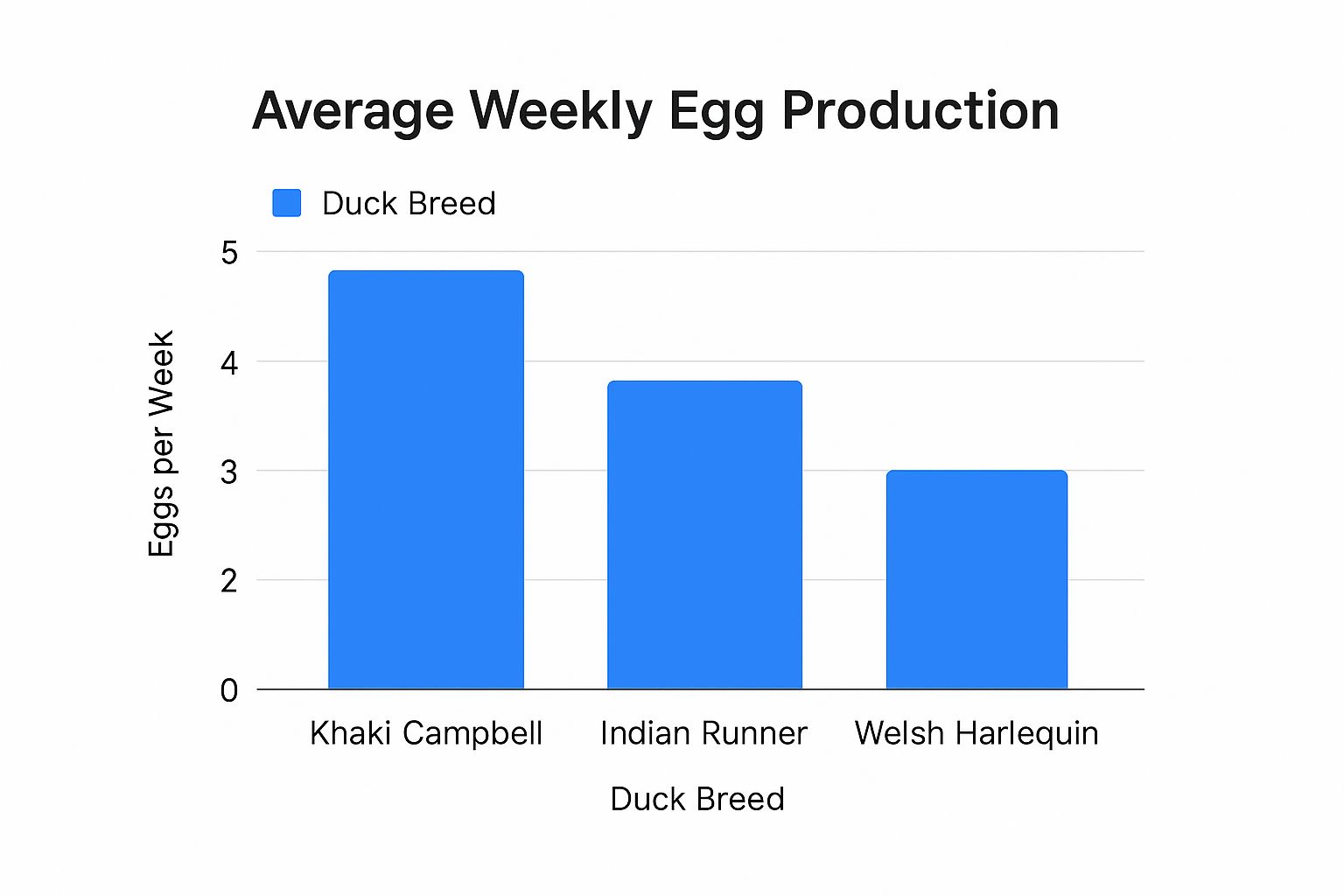 Infographic comparing weekly egg production of Khaki Campbell, Indian Runner, and Welsh Harlequin ducks.