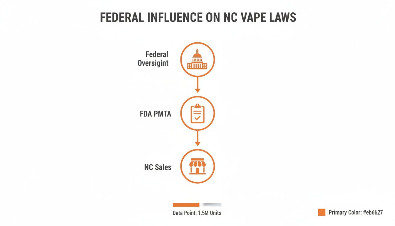 NC Vape Laws: A Clear Guide for Adults in North Carolina