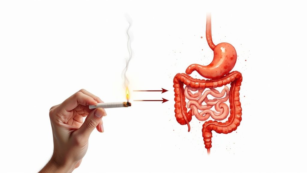 cigarettes cause diarrhea Can Smoking Cause Diarrhea? The Link Explained for Adult Smokers