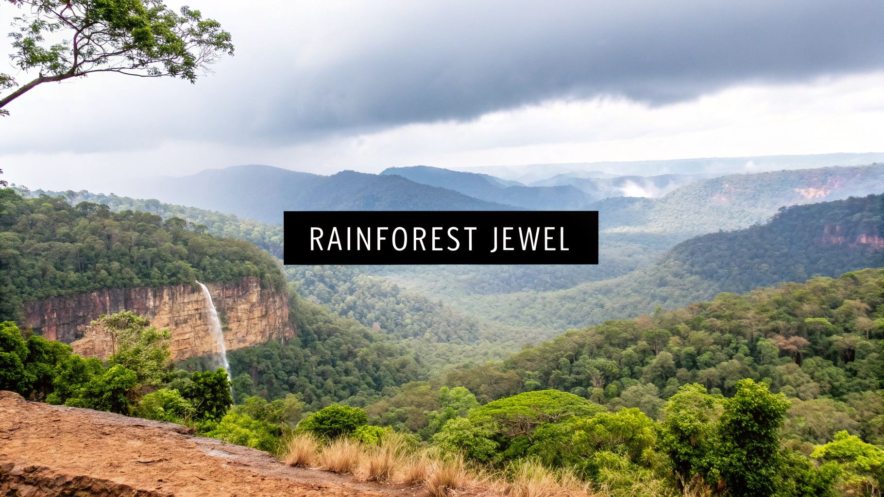 Your Guide to Agumbe Hill Station 1 A breathtaking view of the lush green valleys and misty mountains of Agumbe Hill Station