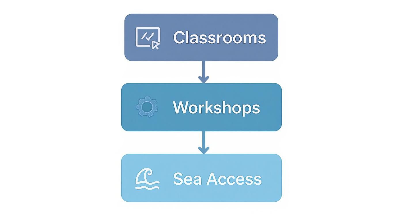 A Guide to the National Institute of Watersports 2 Infographic about national institute of watersports