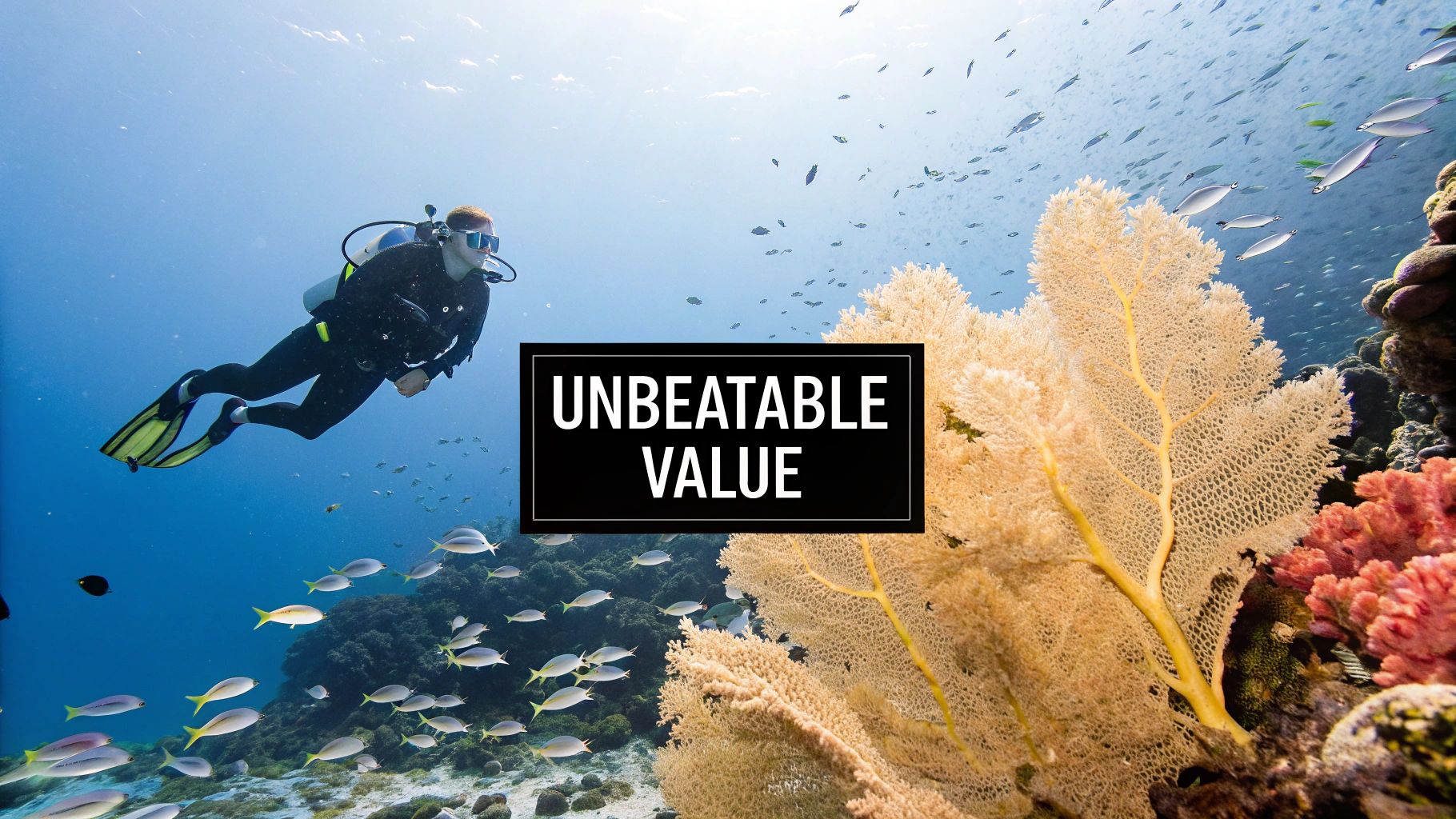 Your Guide to Malvan Scuba Diving Cost 3 A vibrant underwater scene in Malvan with colourful coral and fish.