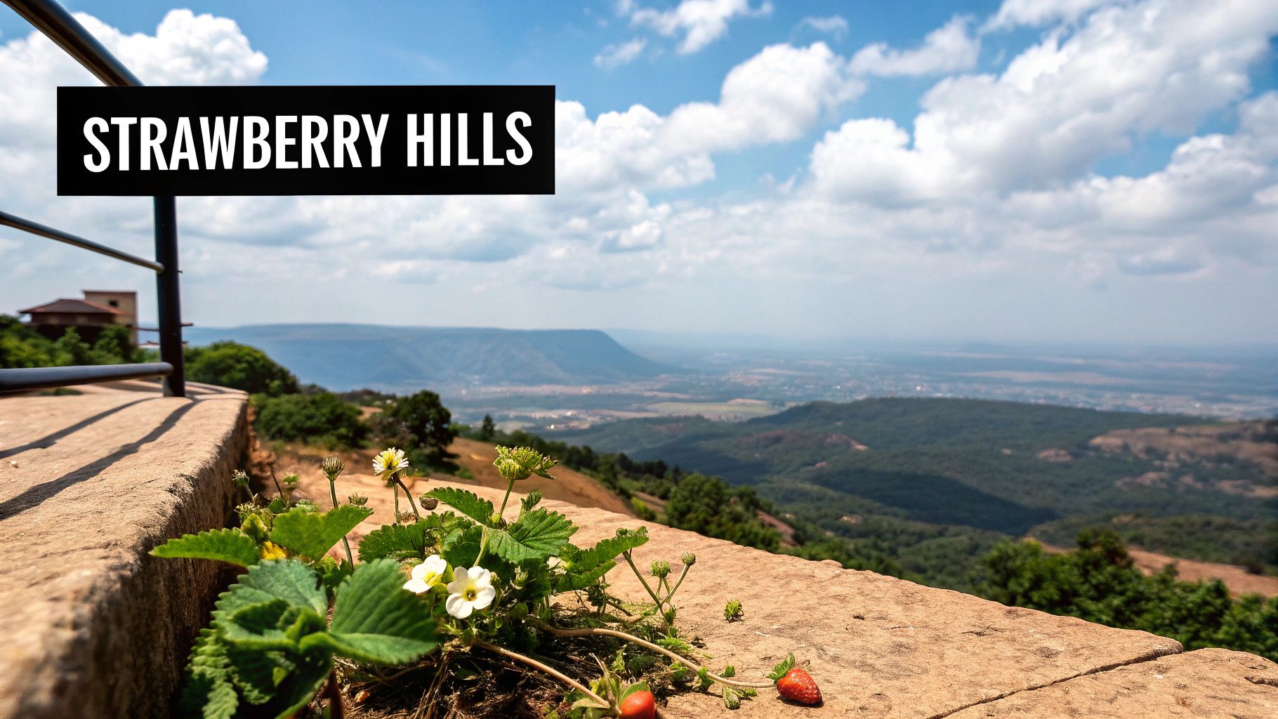 10 Unforgettable Vacation Places in Maharashtra for 2025 2 Mahabaleshwar