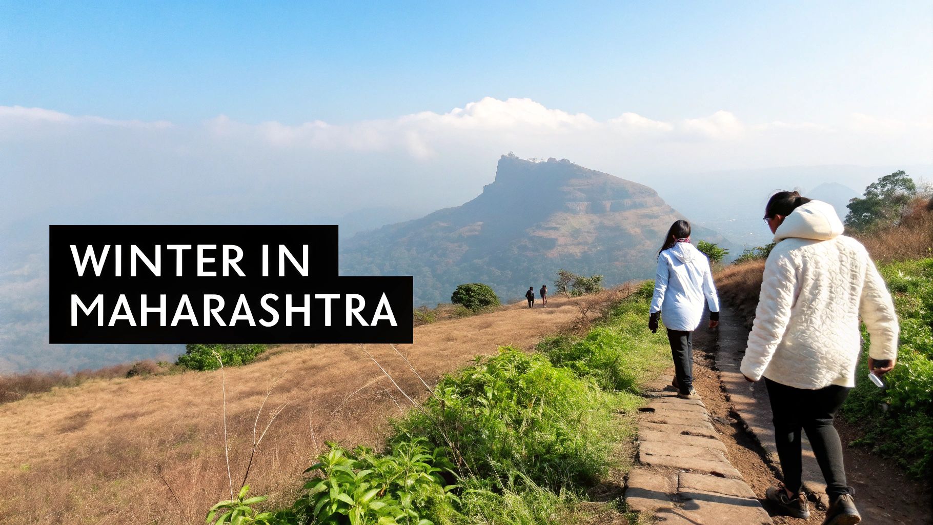 Best Time to Visit Maharashtra A Seasonal Guide 2 A vibrant cultural festival in Maharashtra during winter