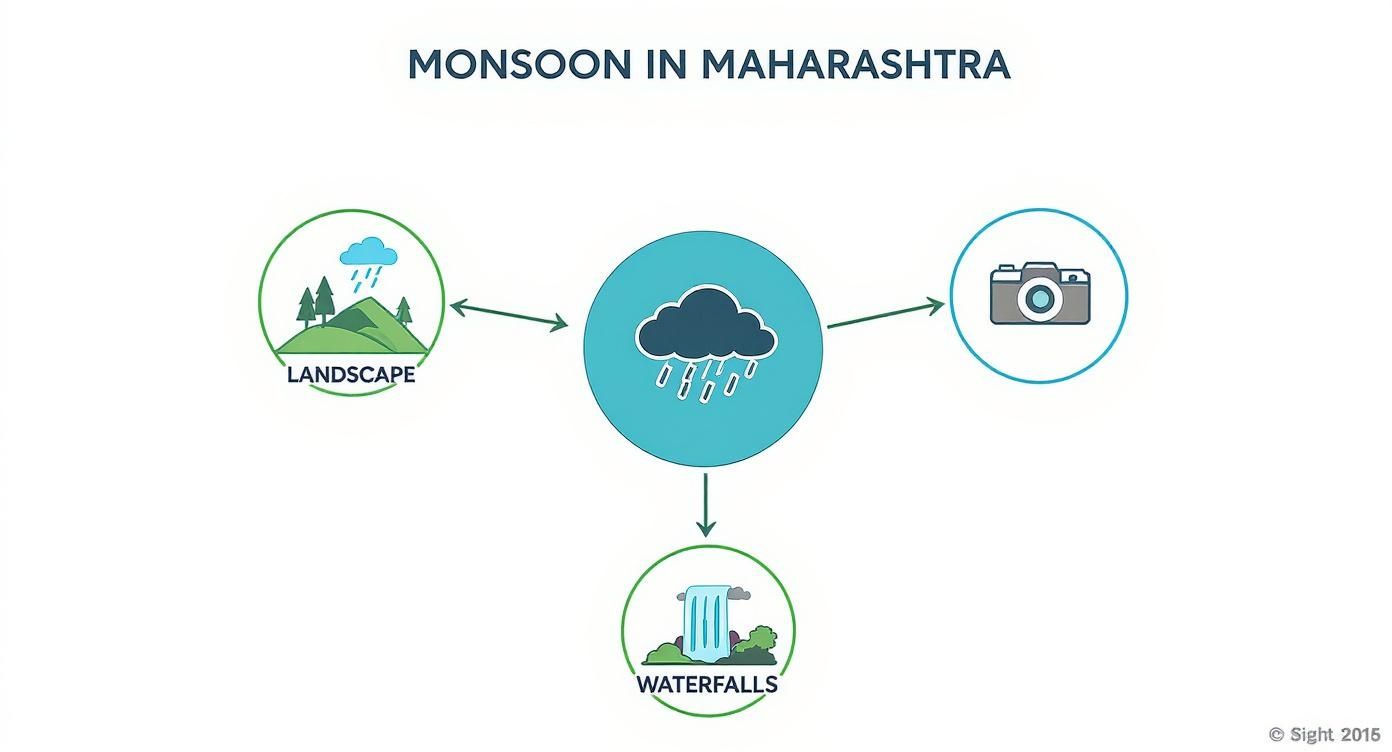 Best Time to Visit Maharashtra A Seasonal Guide 3 Infographic about best time to visit maharashtra