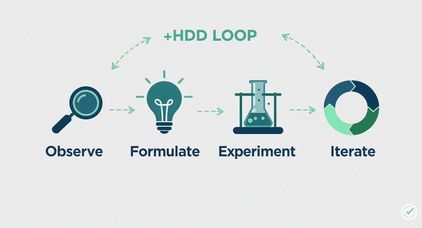 An infographic visualizing the 4-step hypothesis driven development loop, showing the clockwise flow from Observe, to Formulate, to Experiment, and finally to Iterate.