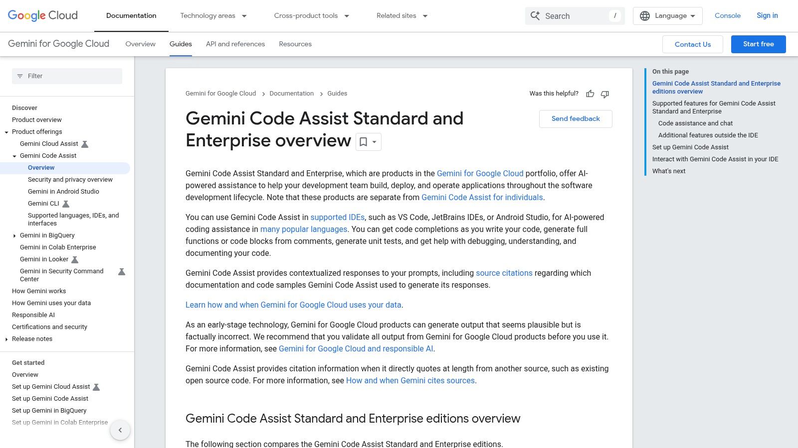 Google Gemini Code Assist