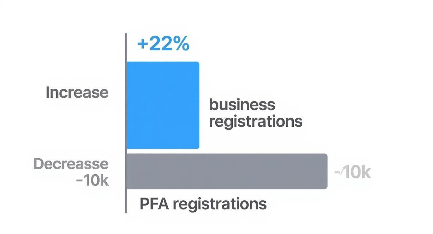 Infographic about diferența între pfa și srl