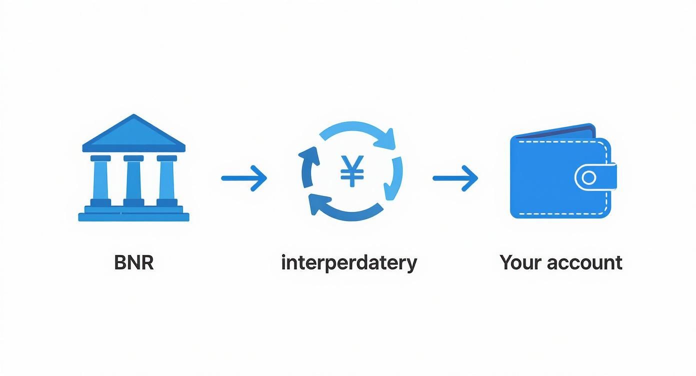 Infografic despre procesul de conversie valutară de la BNR la contul personal