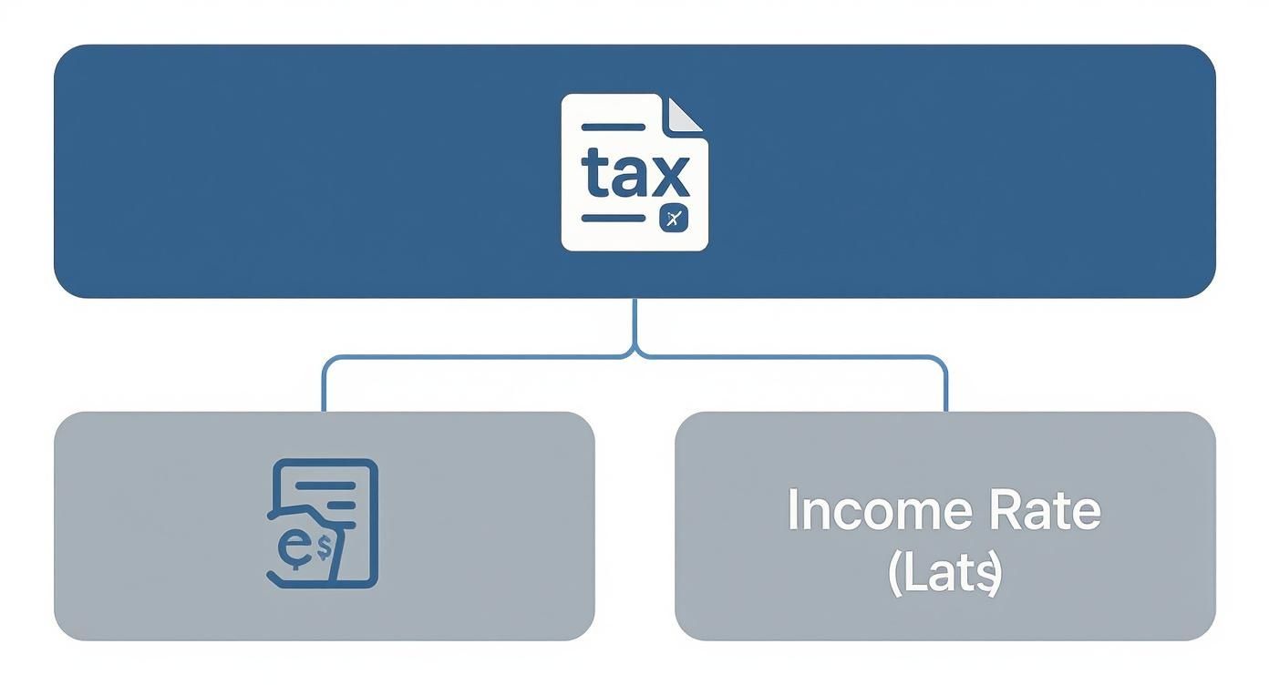 Infographic about ce taxe plătește un pfa