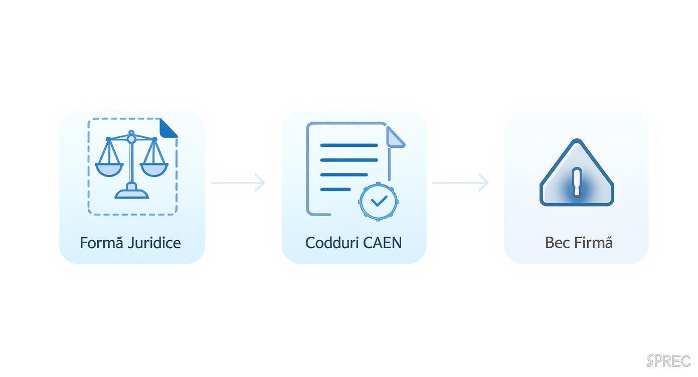 Diagramă cu etapele procesului de înregistrare a unei firme: formă juridică, coduri CAEN și verificare firmă.