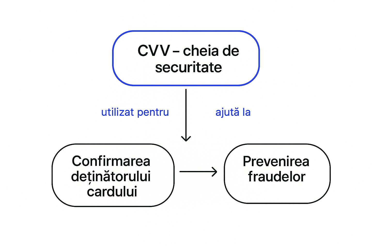Infographic about care este codul de securitate al cardului