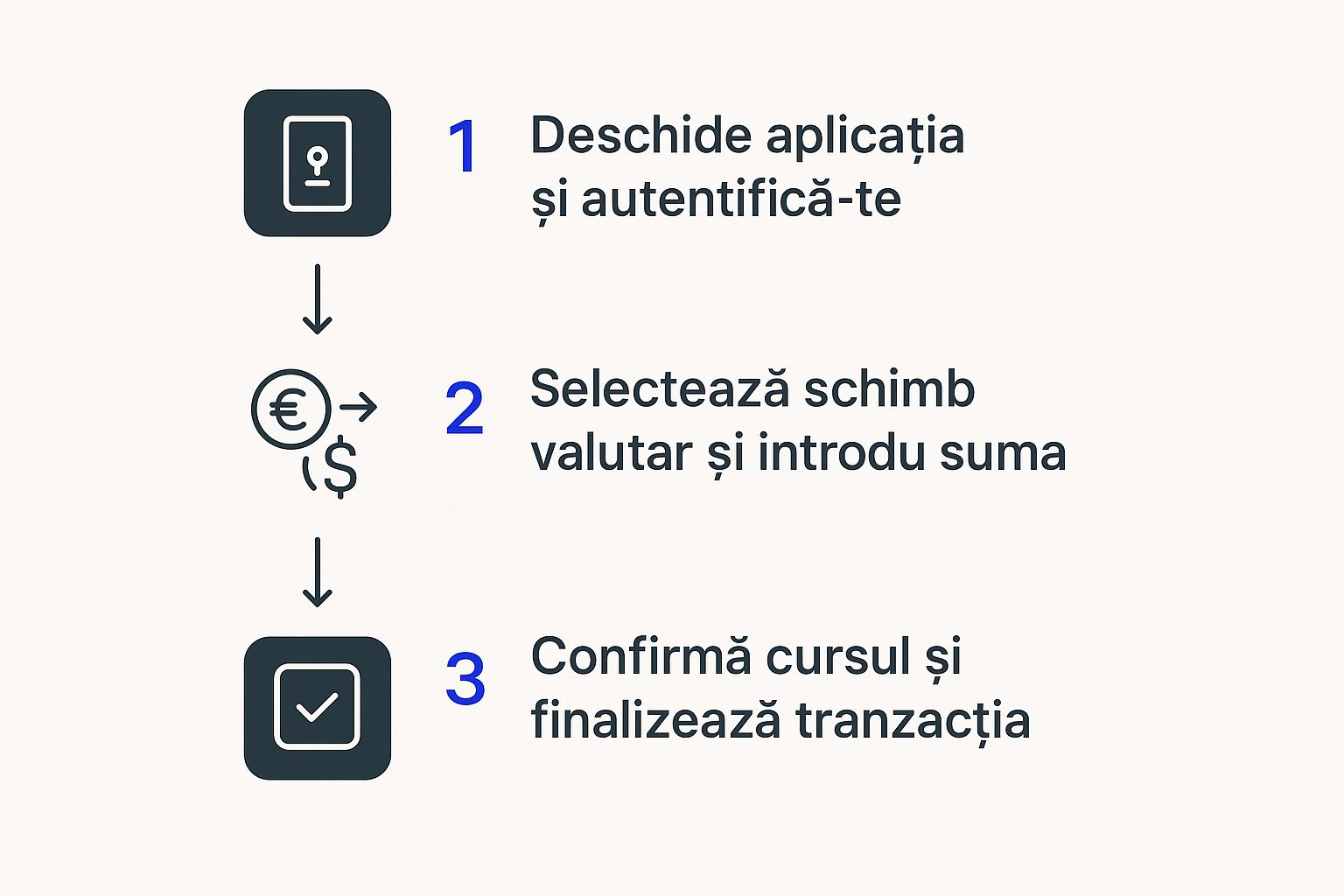 Infographic about banca transilvania schimb valutar