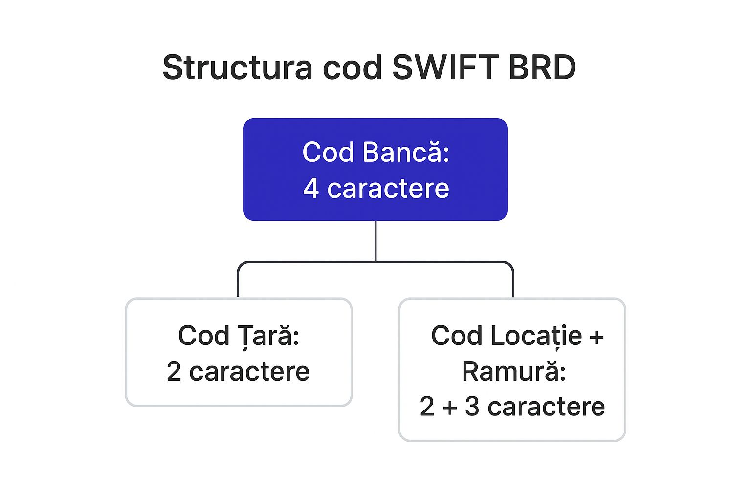 Infographic about swift code brd