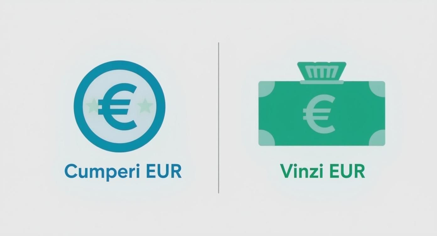 Infographic about curs valutar moneygram