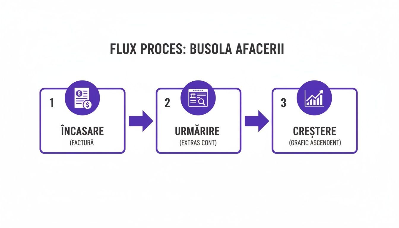 Imaginea prezintă fluxul procesului afacerii cu pași de încasare, urmărire și creștere, ca o busolă financiară.