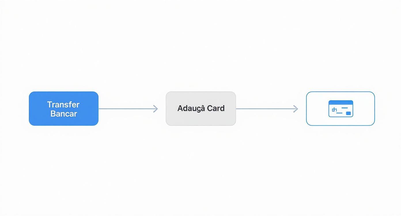 Infographic about alimentare card revolut
