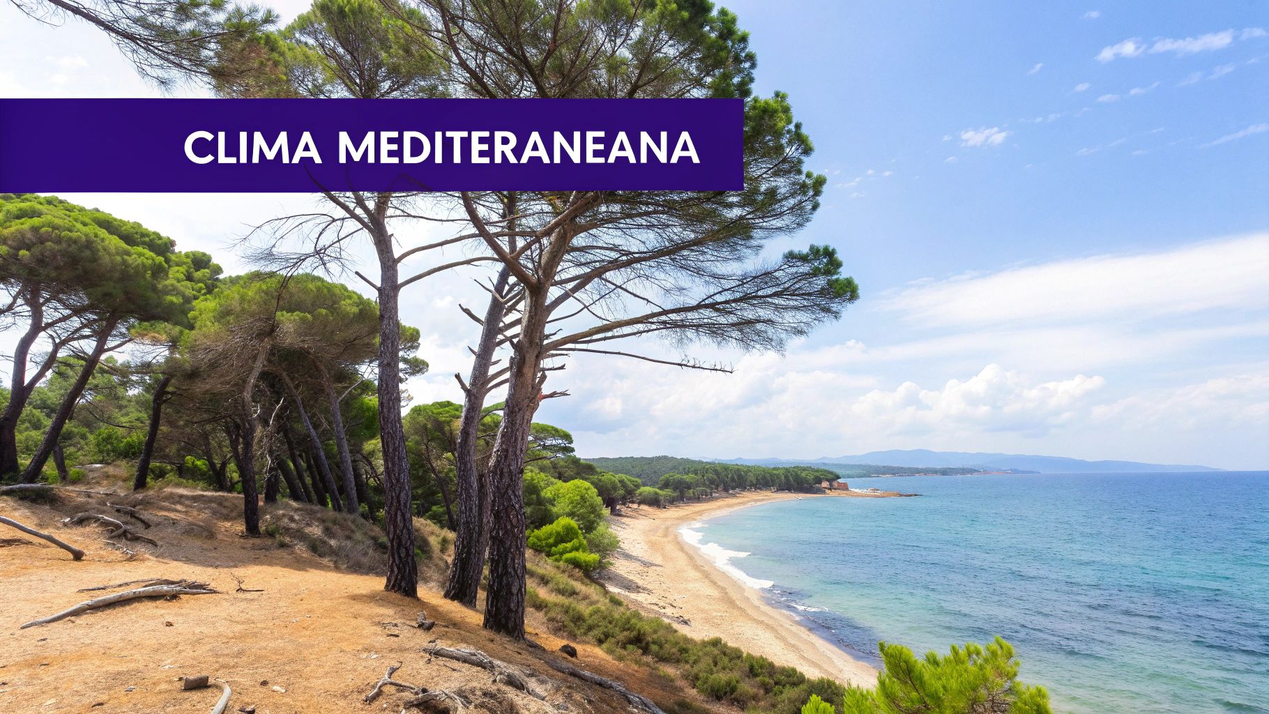 Plajă însorită cu ape cristaline în Cipru