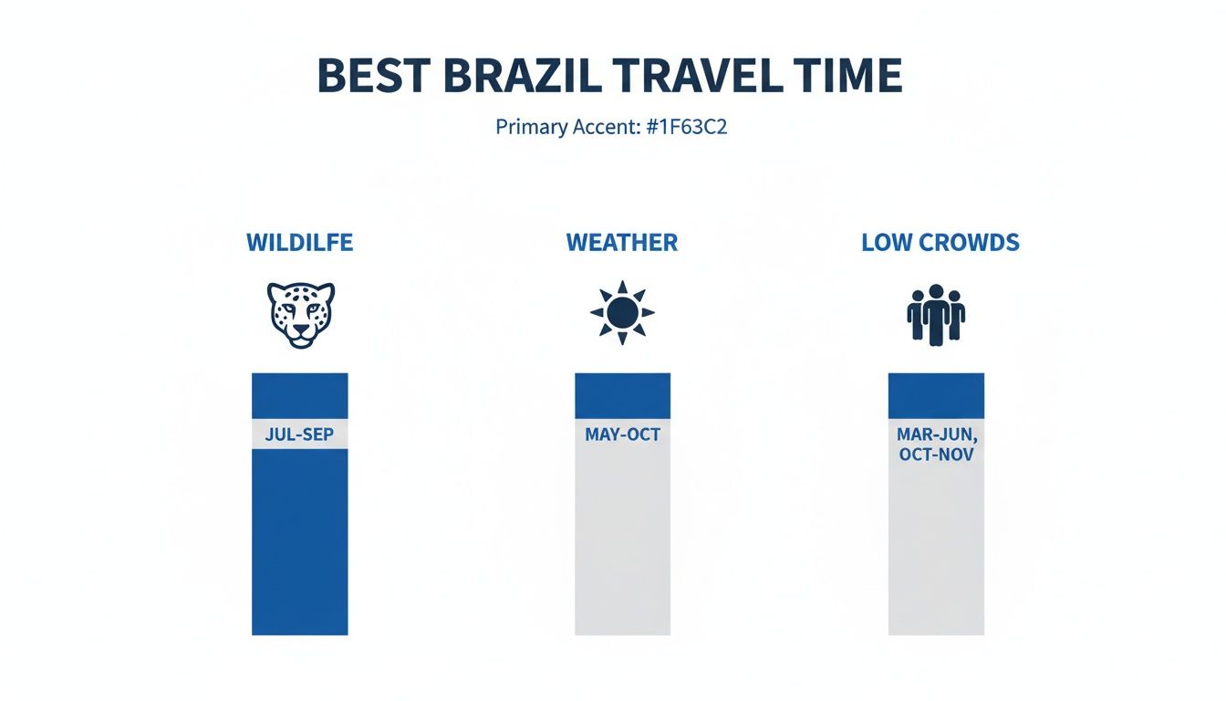Eco Nomad Travel best-time-to-visit-brazil-travel-infographic The Best Time to Visit Brazil for Sustainable Travel