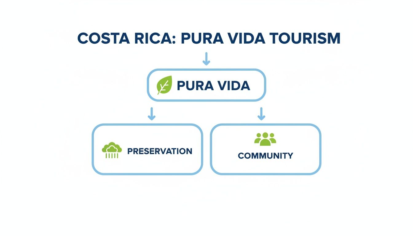 Eco Nomad Travel sustainable-tourism-in-costa-rica-tourism-concept A Traveler's Guide to Sustainable Tourism in Costa Rica