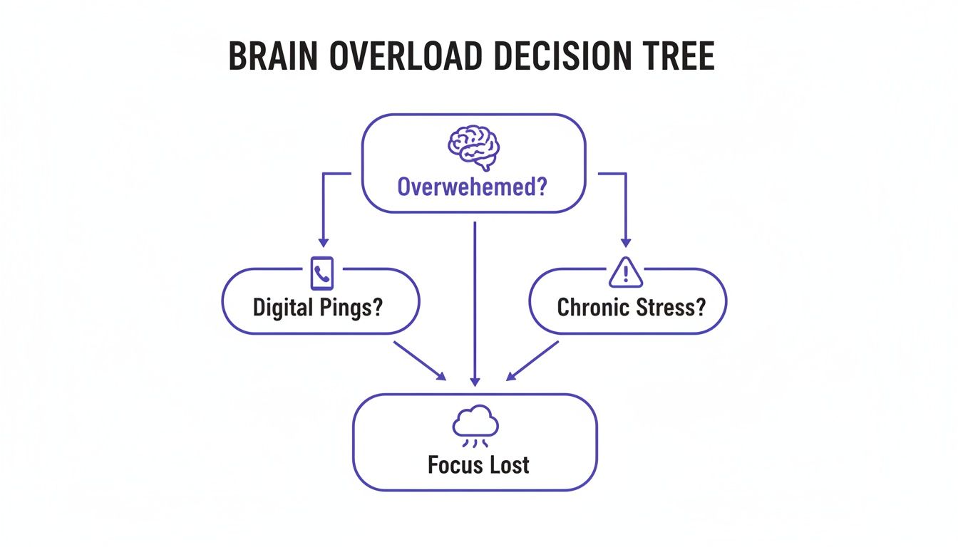 Decision tree flowchart showing how overwhelm from digital pings and chronic stress results in lost focus, impacting clarity mental health.