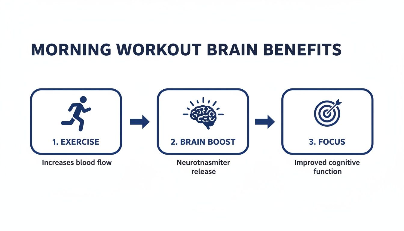 The Ultimate Guide To Early Morning Exercise Routines