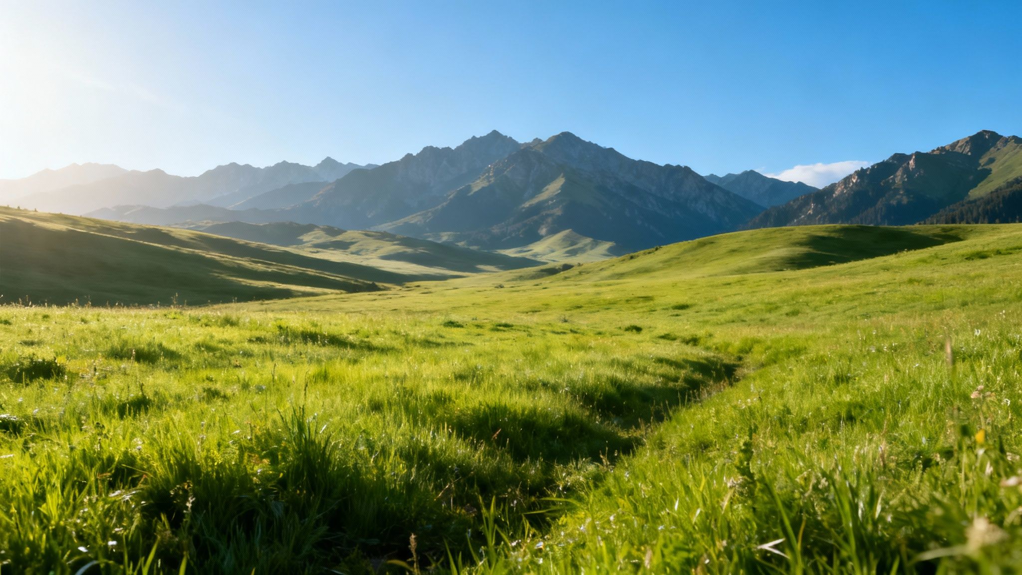 How to take notes for a book — a vast green mountain valley bathed in warm golden sunlight beneath a clear blue sky.