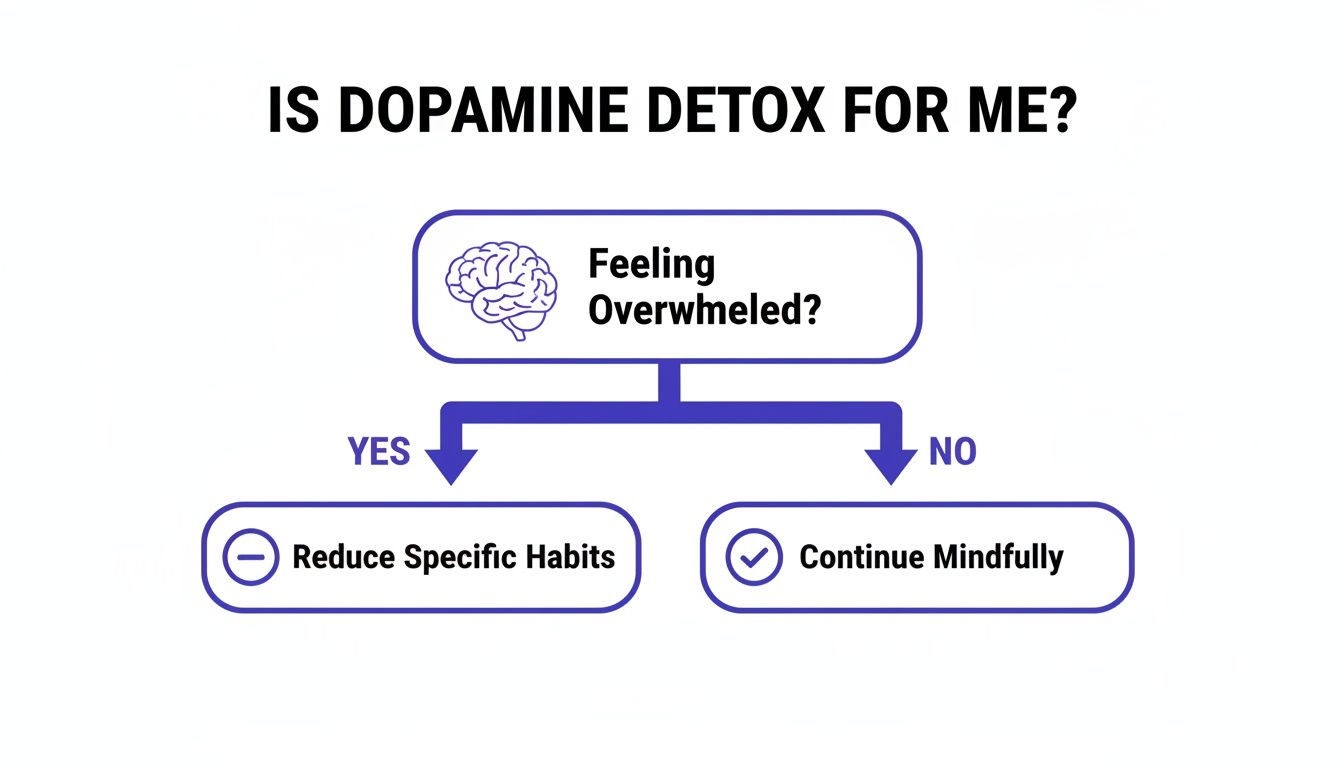A flowchart titled 'Is Dopamine Detox For Me?' with a question 'Feeling Overwhelmed?' Yes leads to 'Reduce Specific Habits', No leads to 'Continue Mindfully' which helps you understand what is a dopamine detox.