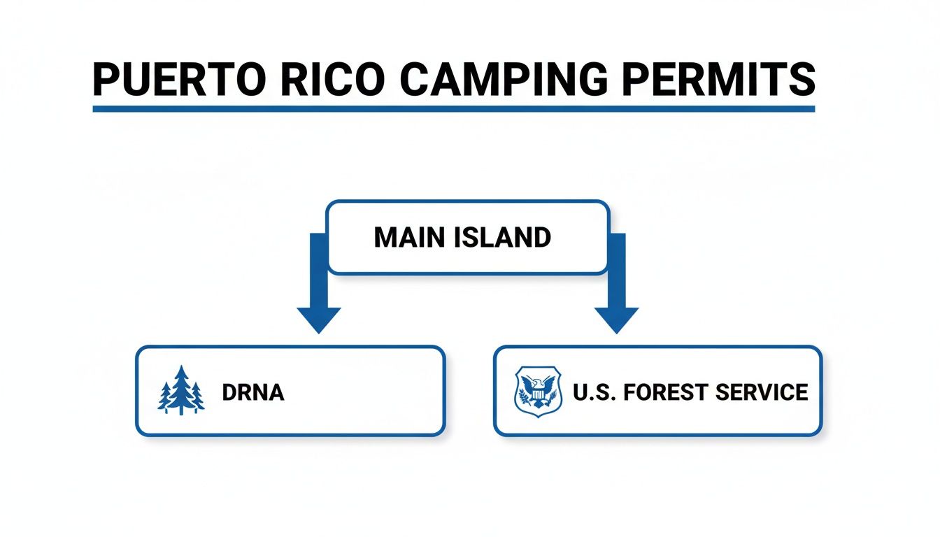 Eco Nomad Travel camping-in-puerto-rico-camping-permits A Guide to Sustainable Camping in Puerto Rico