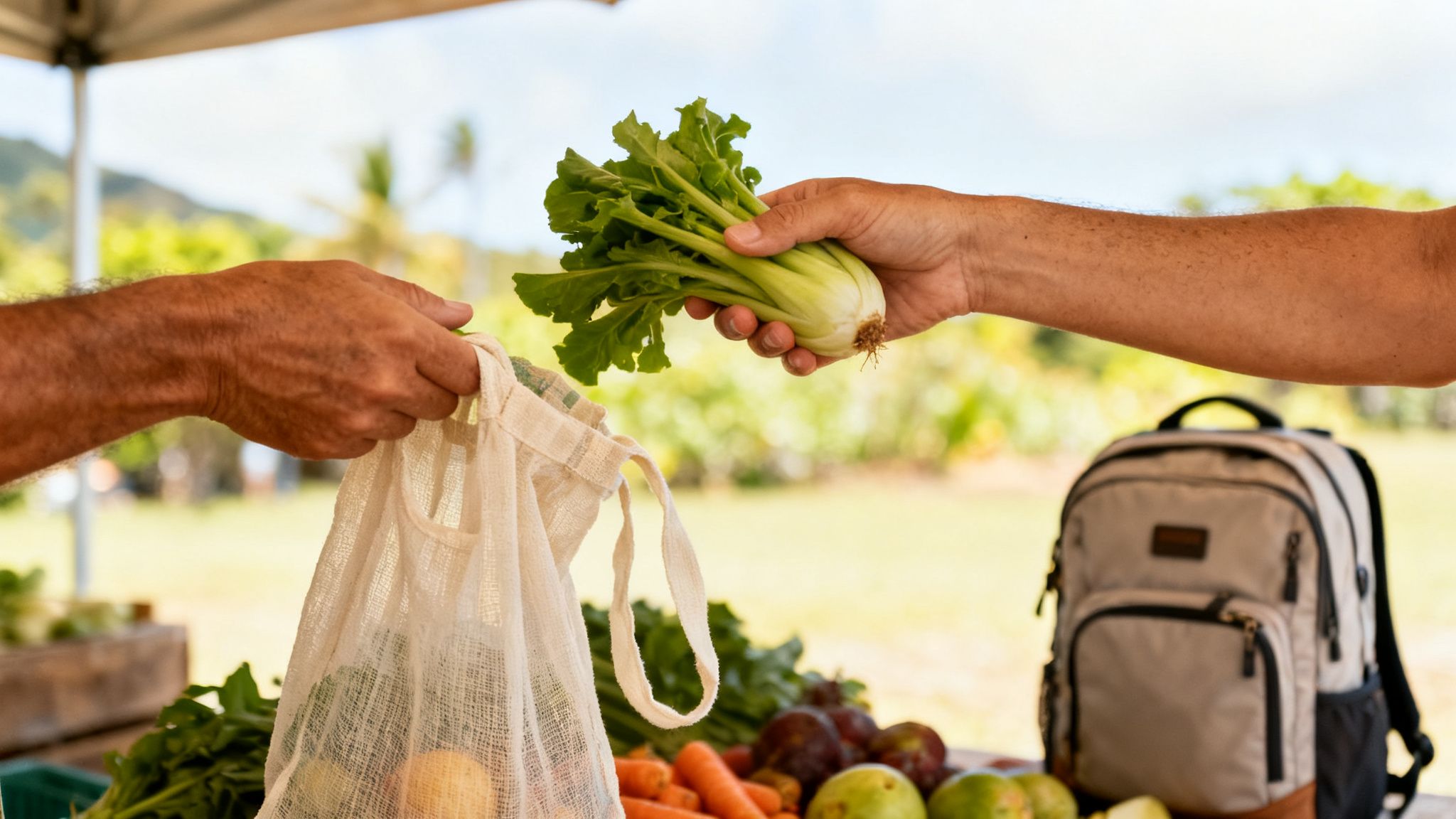 is it ethical to travel to hawaii right now: hands place fresh green vegetables into a reusable mesh bag at an outdoor farmers market.