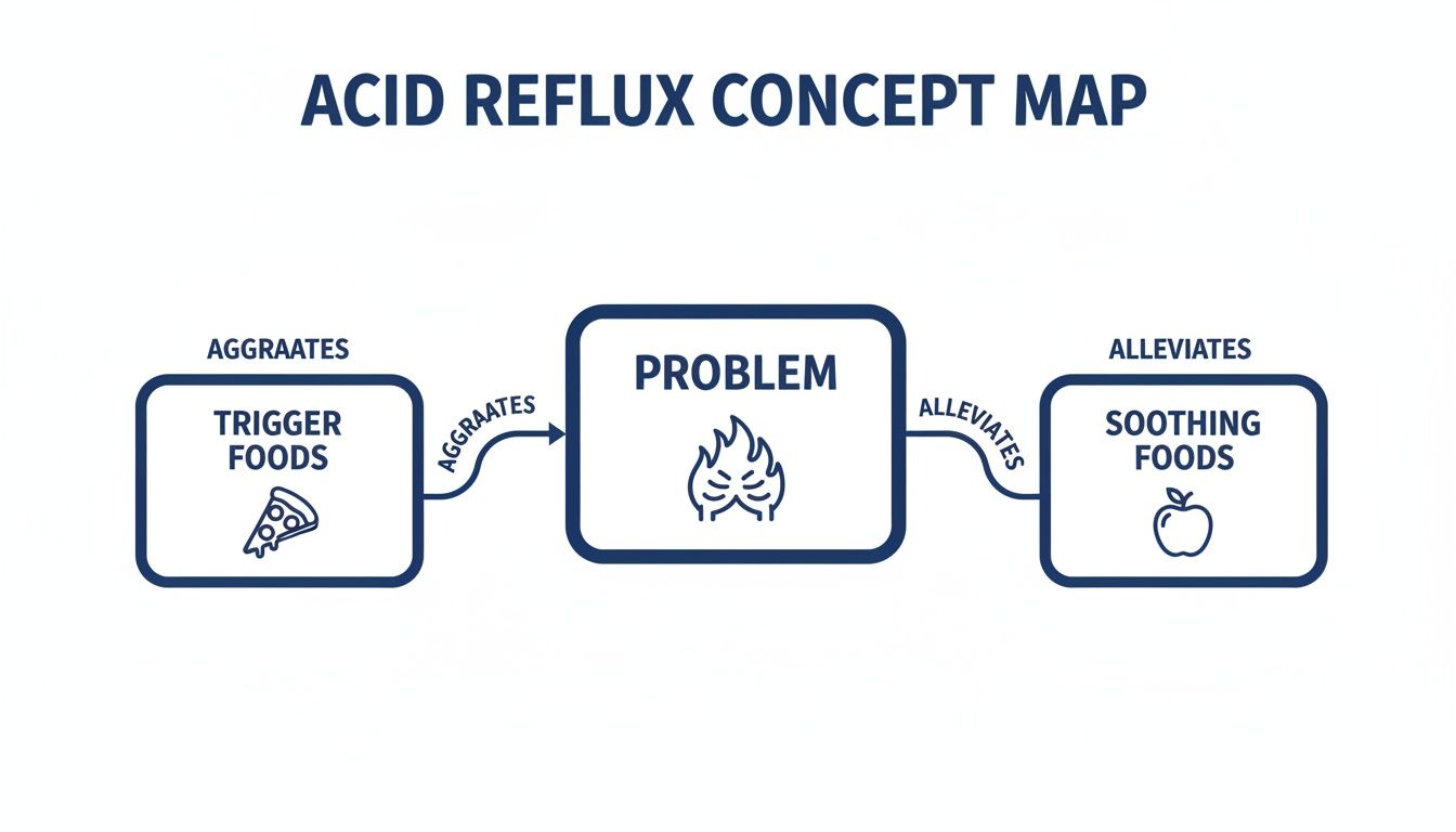 Concept map illustrating the relationship between trigger foods, acid reflux, and soothing foods. The image shows the connection between your diet and acid reflux.