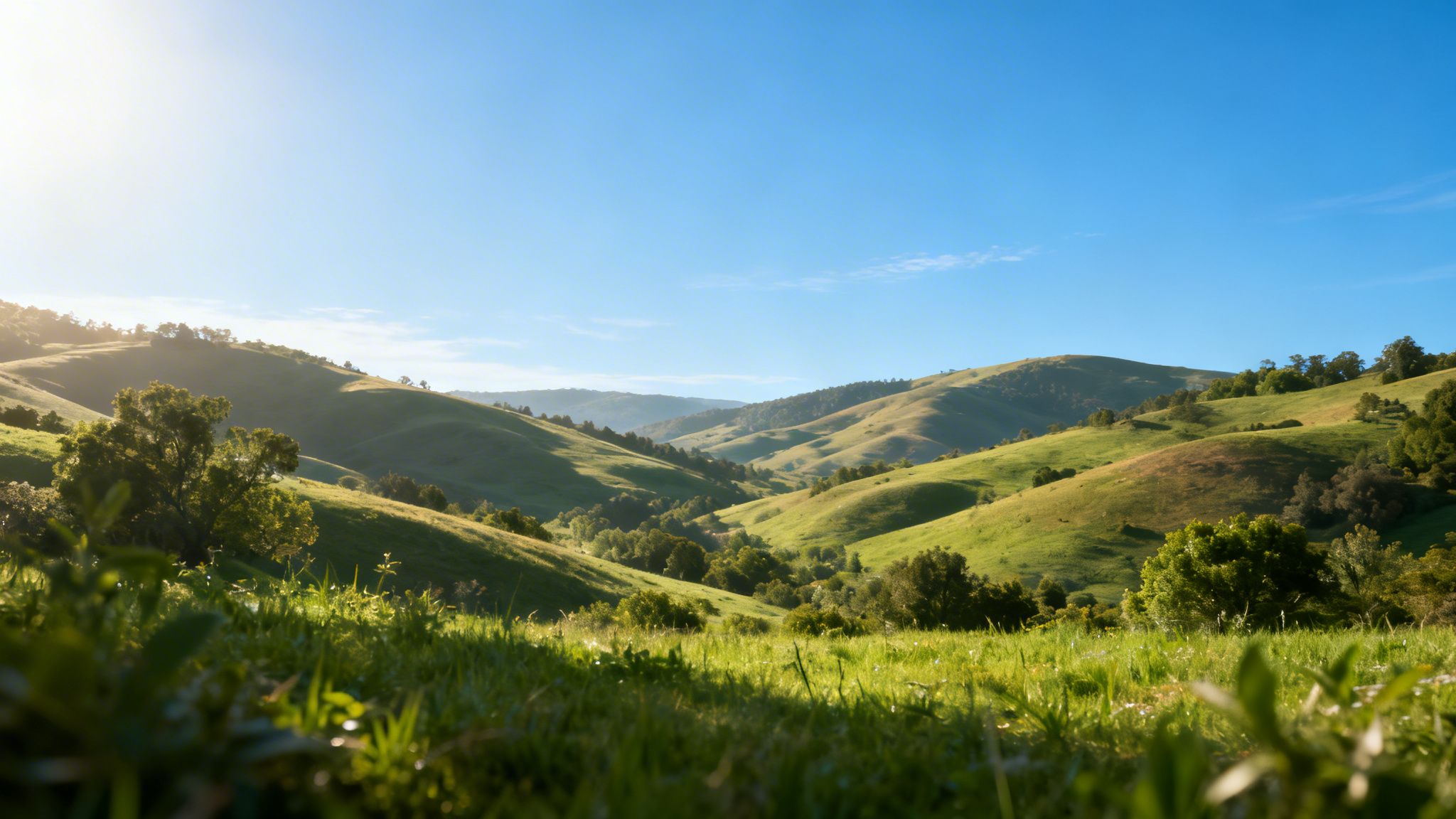 Vibrant green rolling hills with scattered trees bathed in sunlight under a clear blue sky.