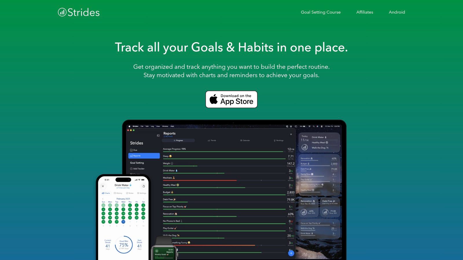 Strides habit tracking dashboard on iOS showing a goal and habit tracker overview with clear progress bars, streak counts, charts for daily/weekly completion, multiple tracked goals, and a clean, organized interface designed for monitoring habits over time.