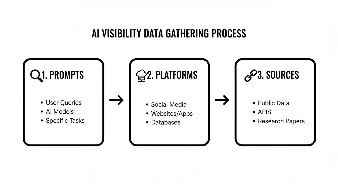 Flowchart illustrating the AI visibility data gathering process, from prompts to platforms and sources.