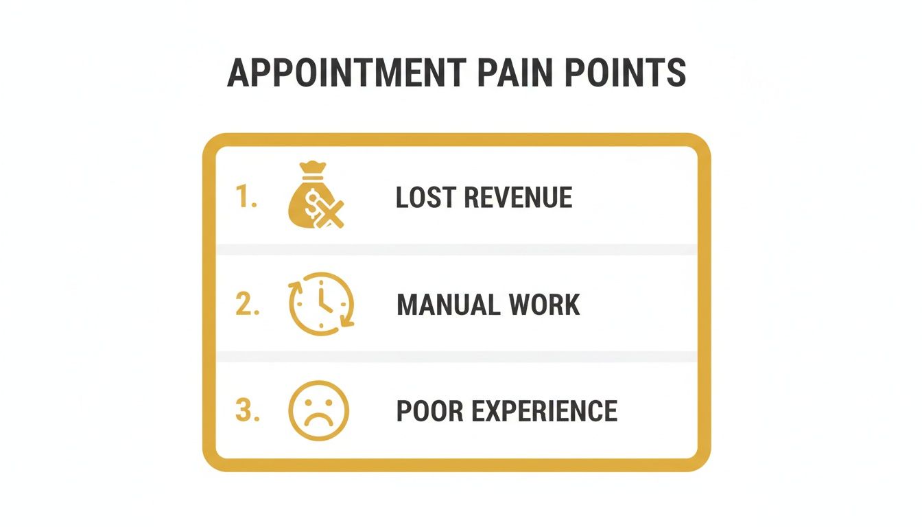 An infographic listing three appointment pain points: lost revenue, manual work, and poor experience.