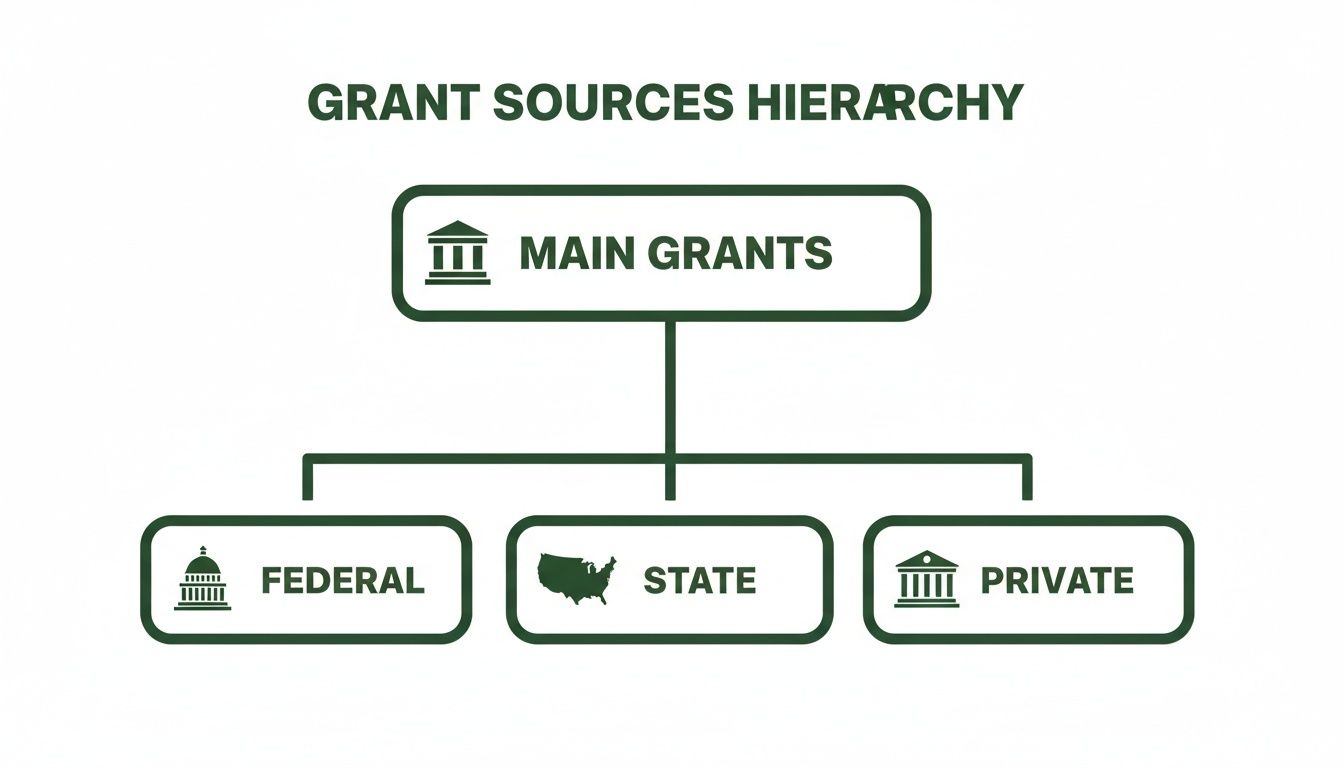 A hierarchy chart illustrating main grant sources divided into Federal, State, and Private.